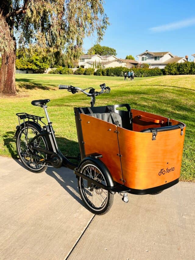 used family cargo bike