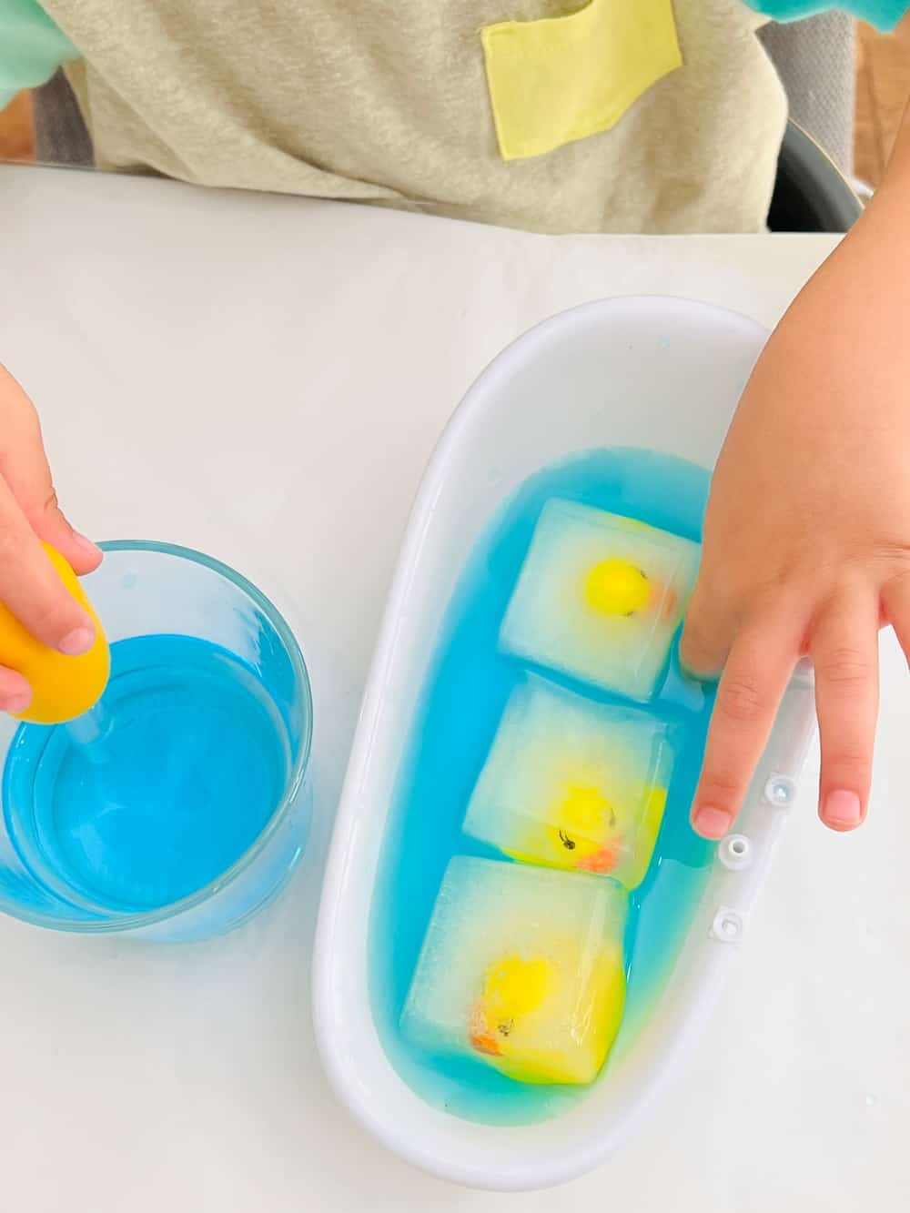 Frozen Duck Animal Rescue Activity