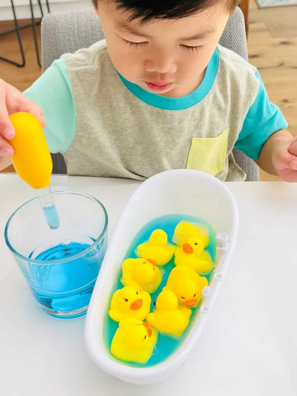 Frozen Duck Animal Rescue Activity