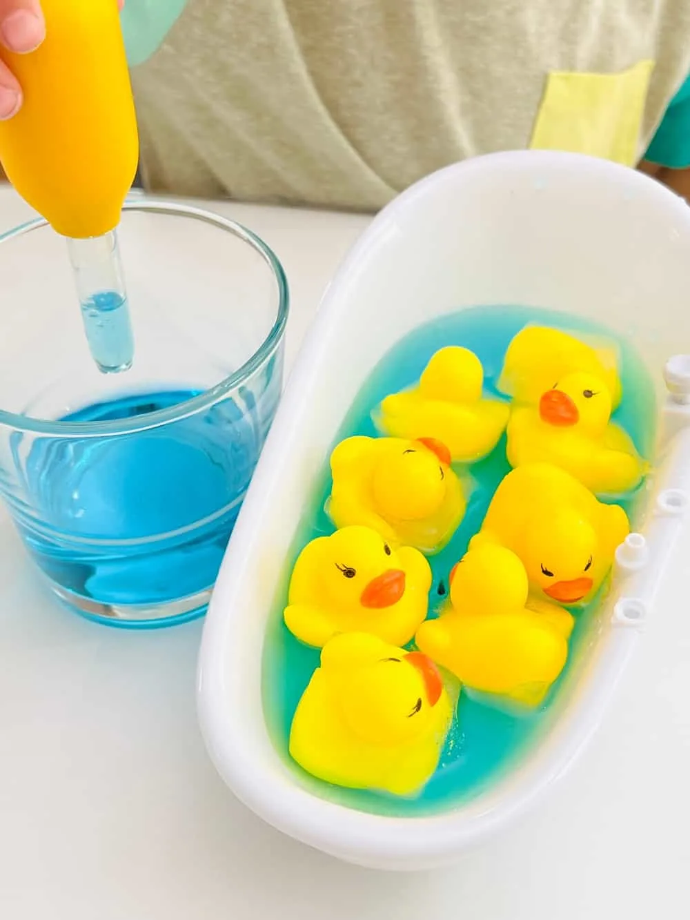 Frozen Duck Animal Rescue Activity