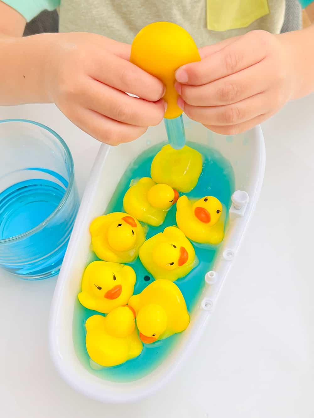 Frozen Duck Animal Rescue Activity