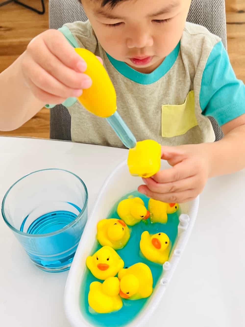 Frozen Duck Animal Rescue Activity