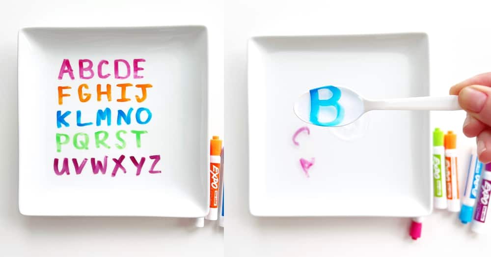 Alphabet Dry Erase Experiment