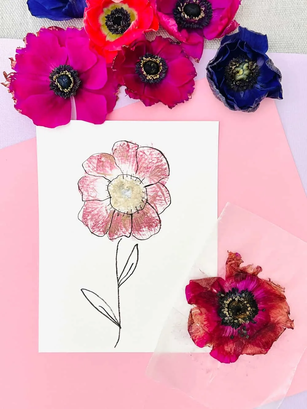 Pressed Flower Craft