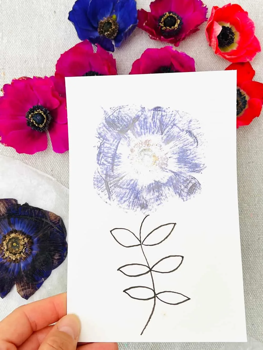 Pressed Flower Craft