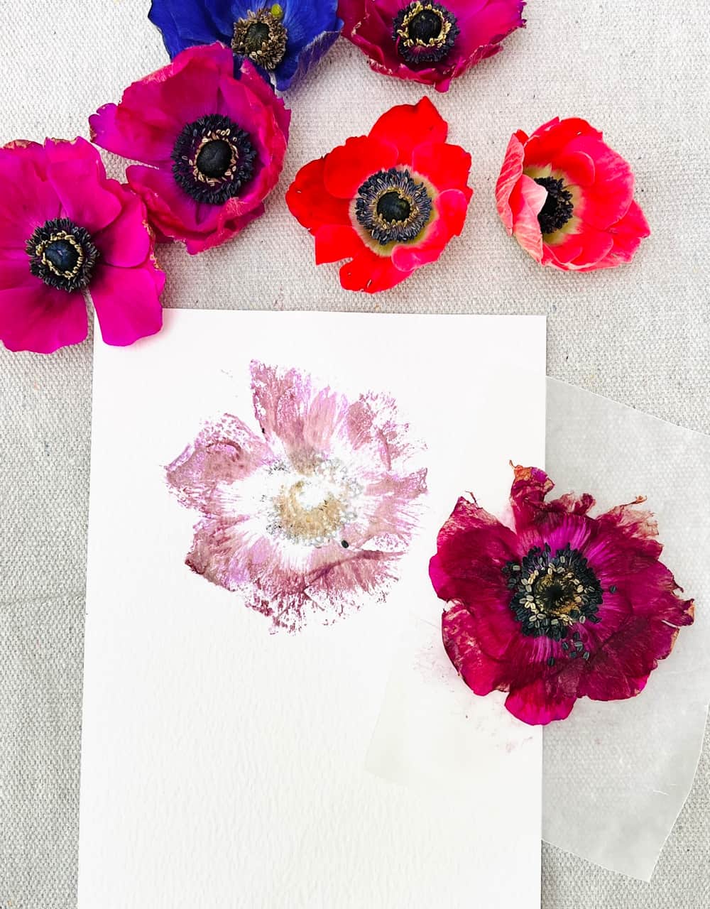 Pressed Flower Craft