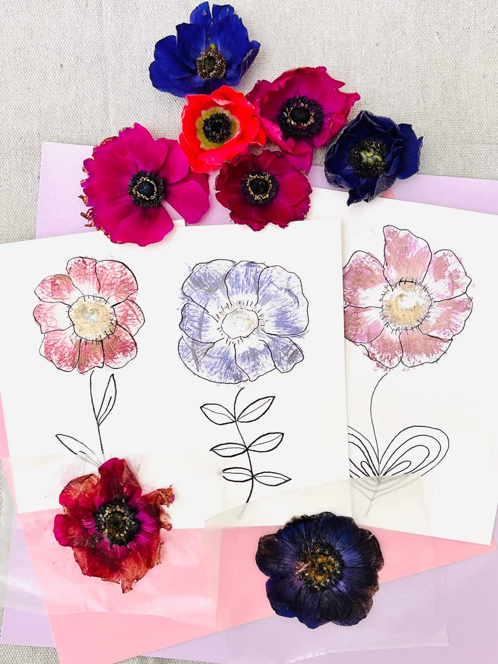 Pressed Flower Craft