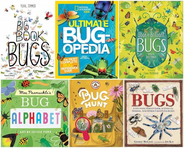 12 Exciting Bug Books For Kids