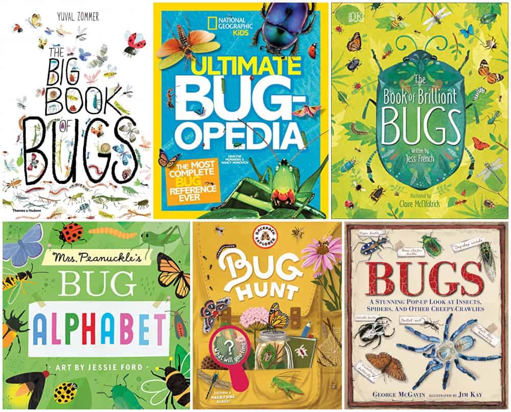 bug books for kids