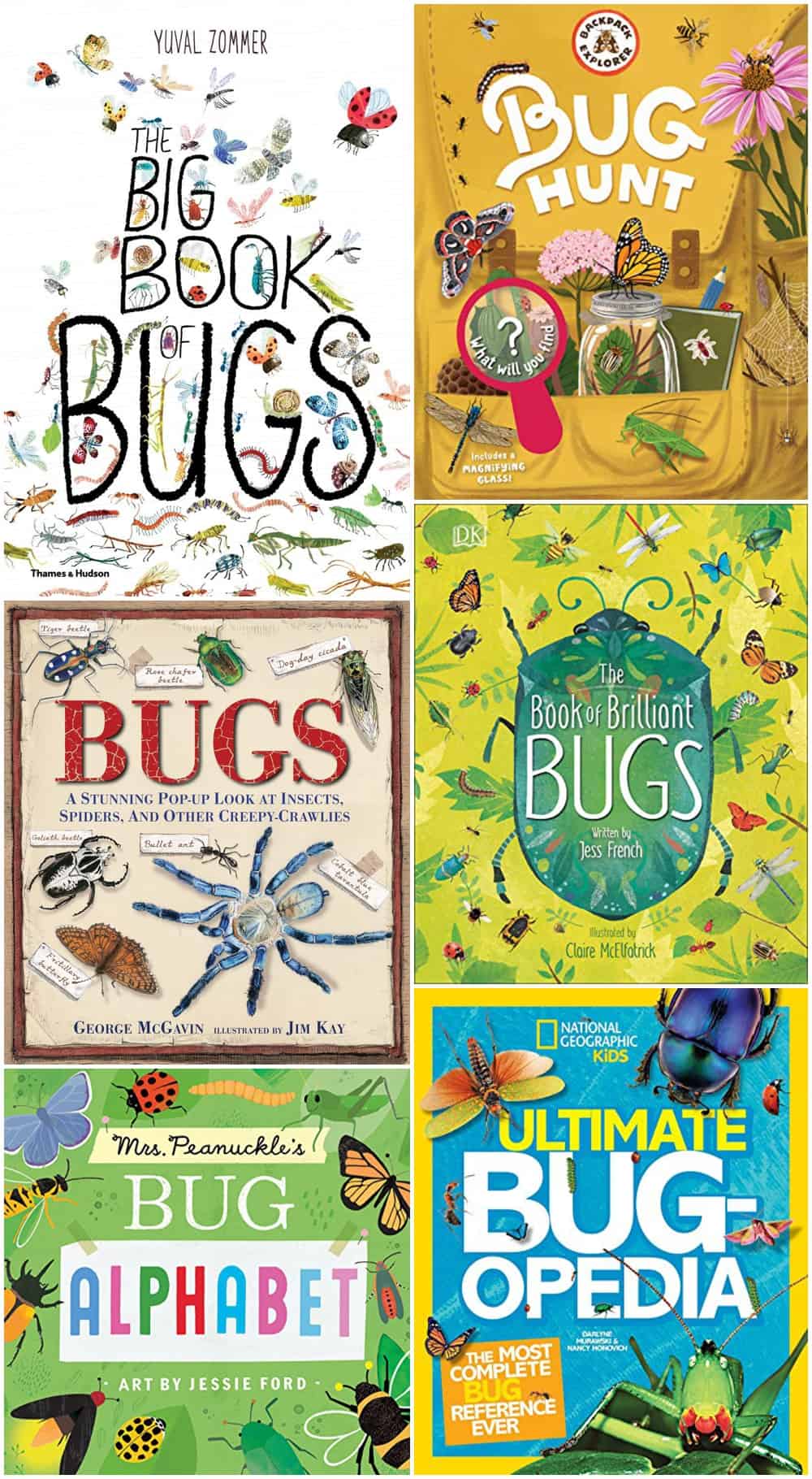 bug books for kids