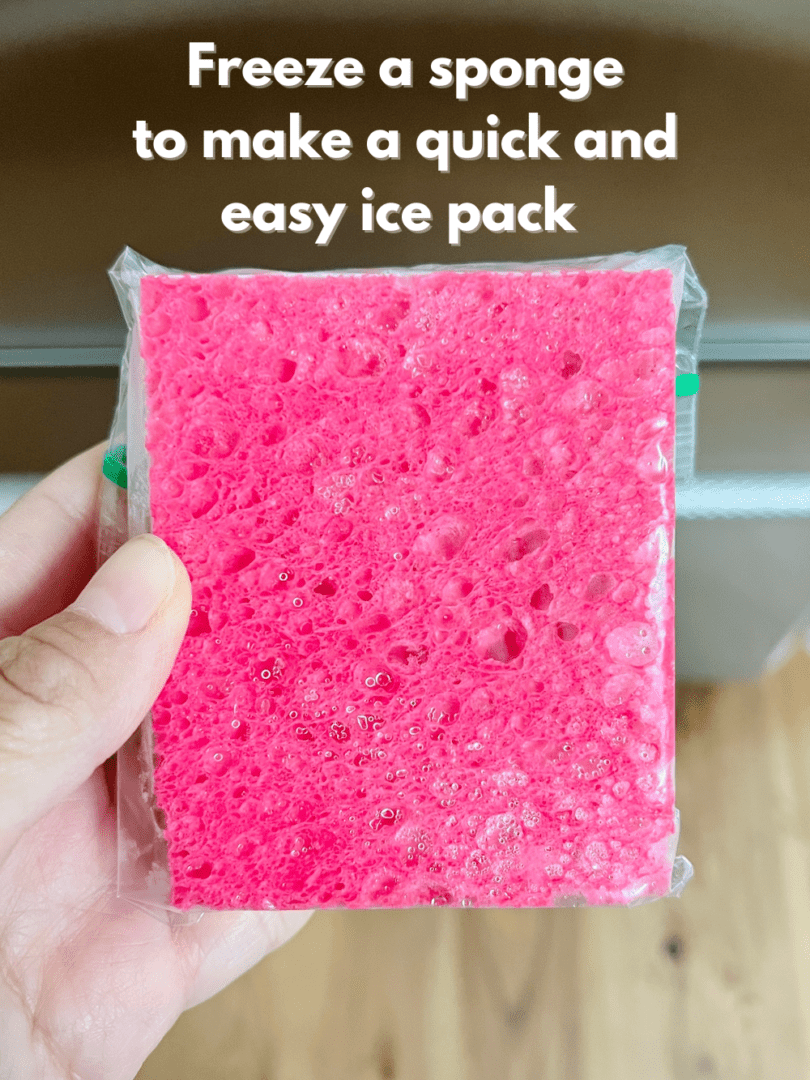 Clever Sponge Ice Pack Hack No Ice Pack? No Problem!