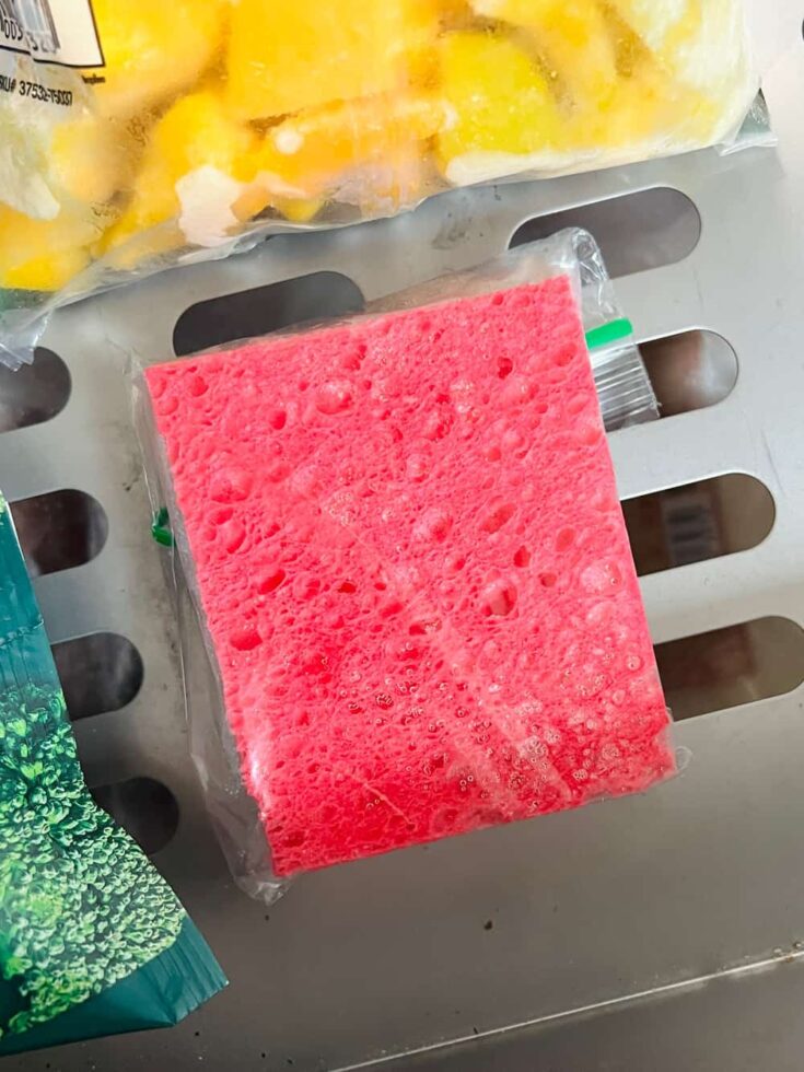 Clever Sponge Ice Pack Hack