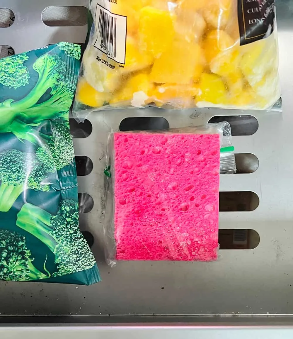 sponge ice pack hack