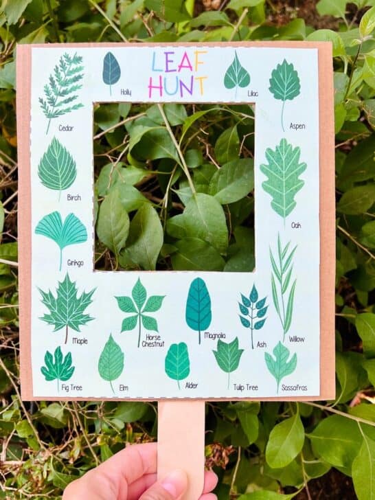 Nature Learning Leaf Hunt Printable Nature Learning Leaf Hunt Printable