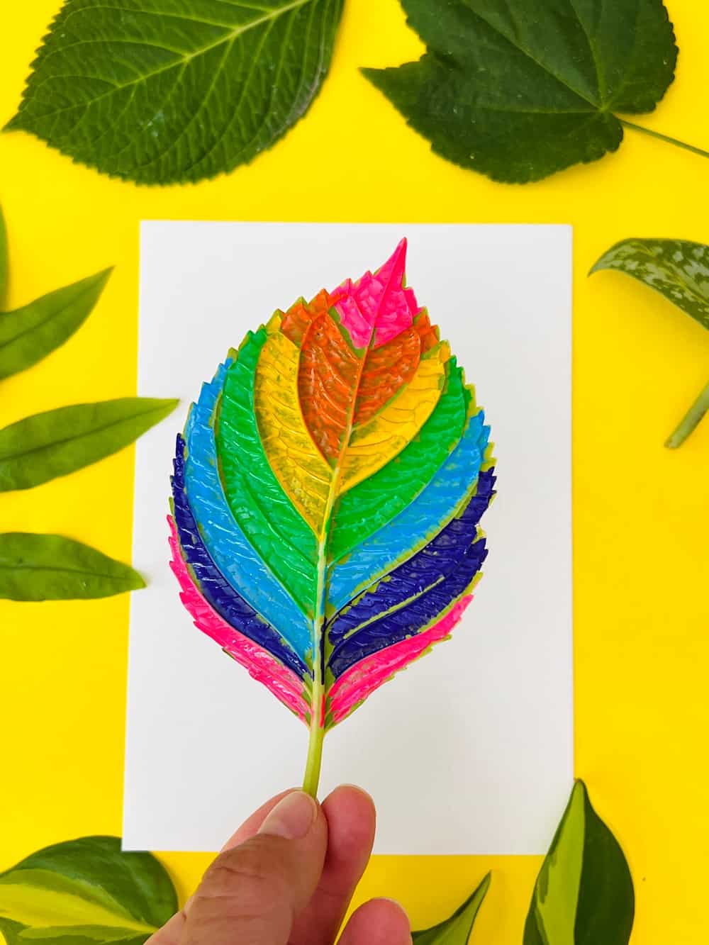 Painted Leaf Art 