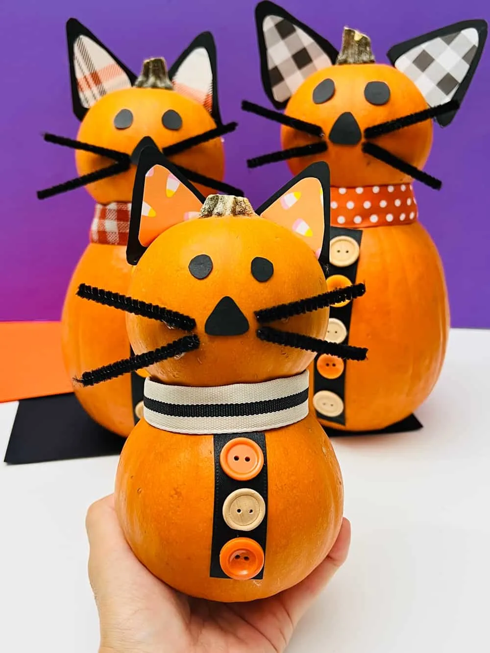 No Carve Cat Pumpkin