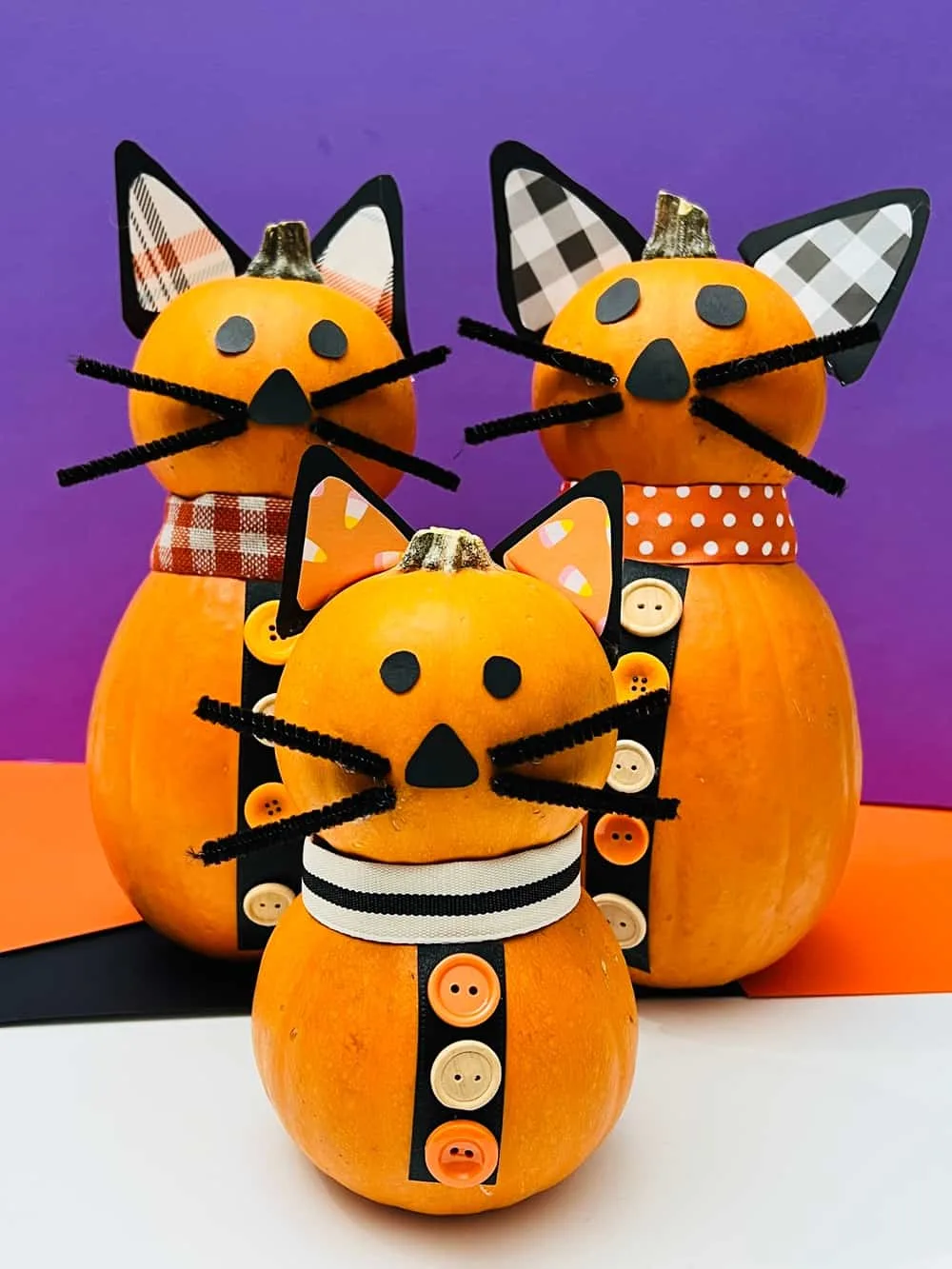 No Carve Cat Pumpkin