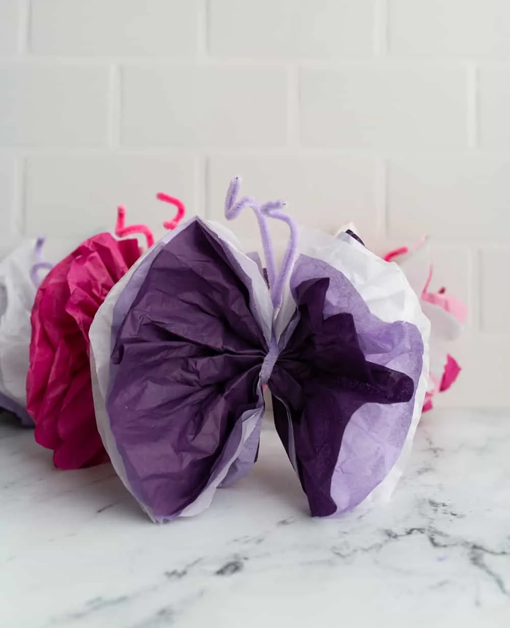 Tissue Paper Butterflies