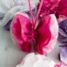 Tissue Paper Butterflies