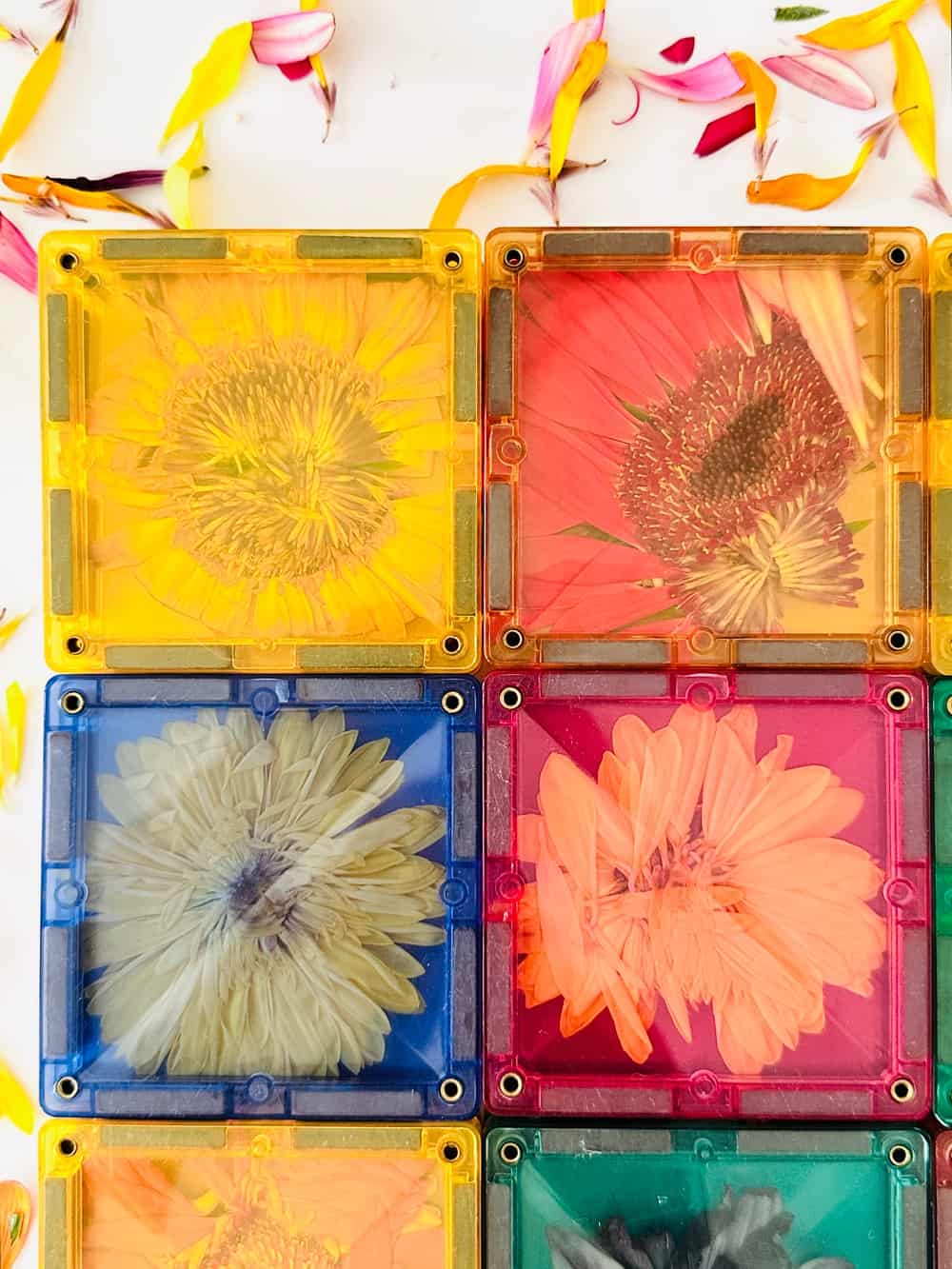 magnet tile flowers play activity for kids
