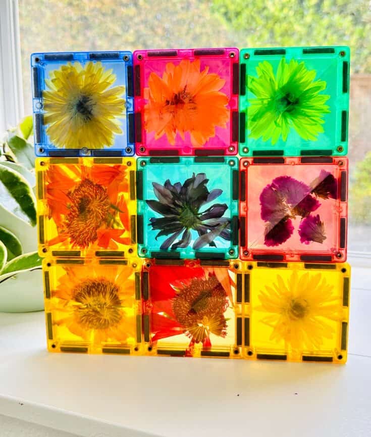 magnetic tiles flower play