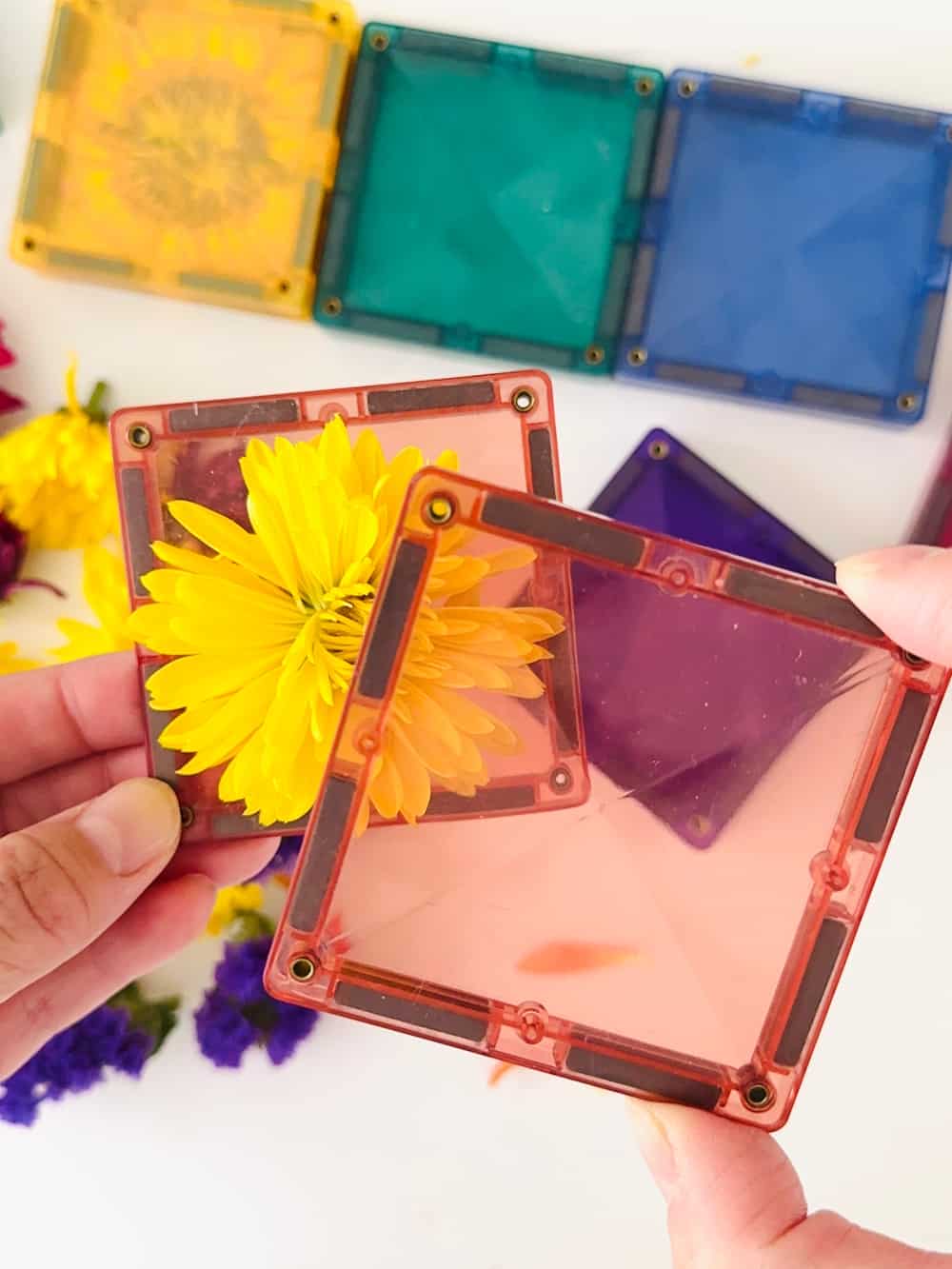 magnetic tiles flower play