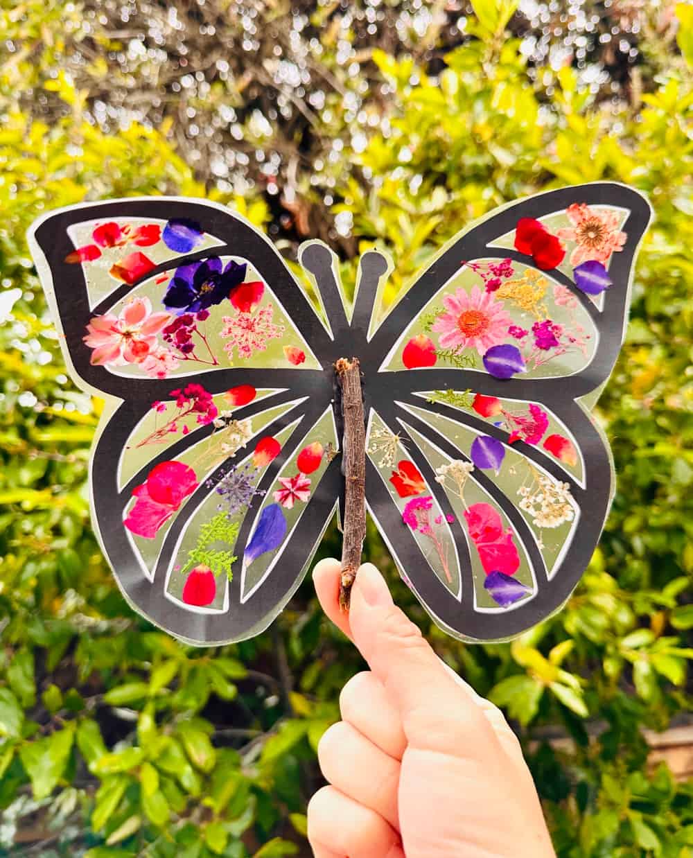 pressed flower butterfly craft