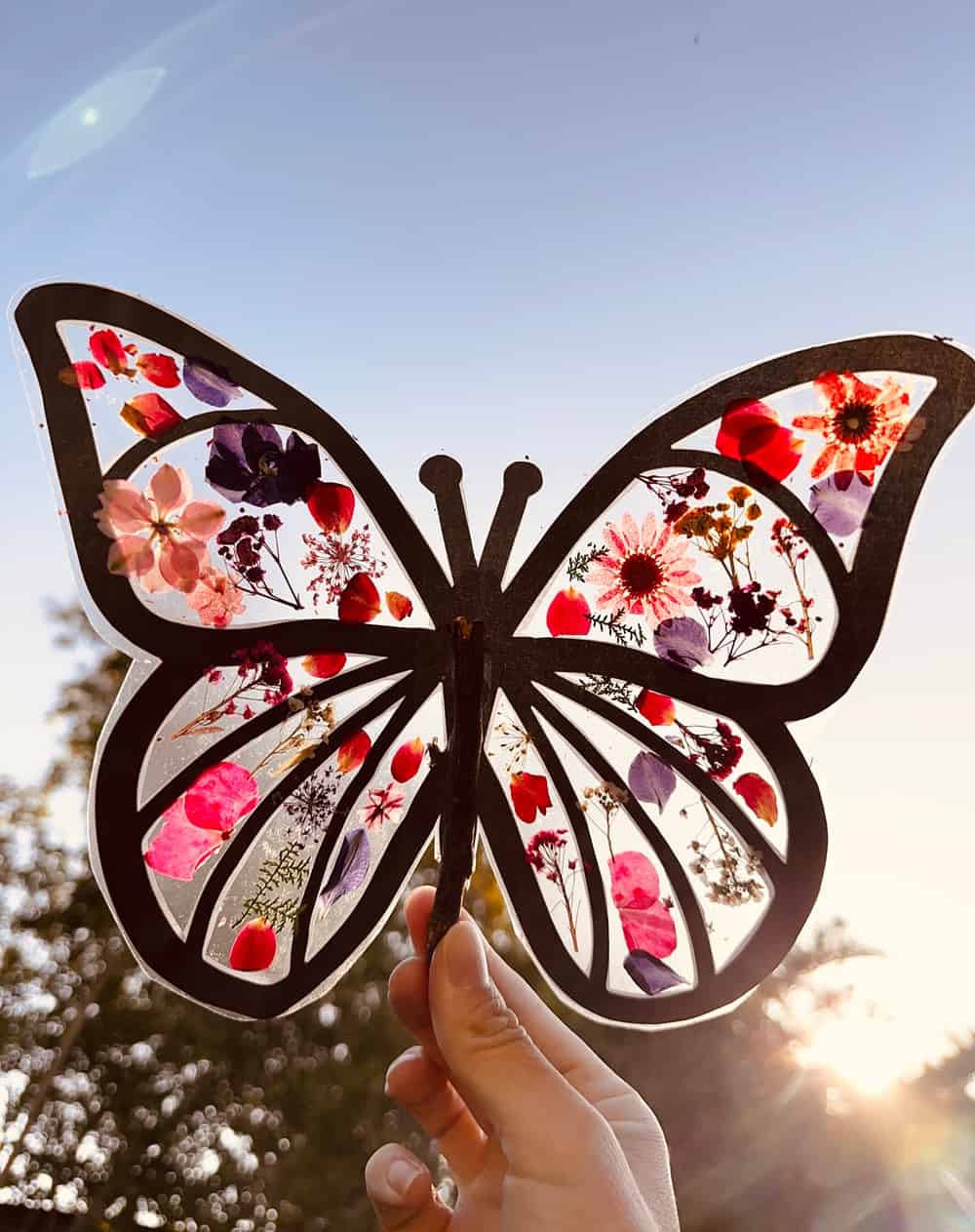 Pressed Flower Butterfly Craft