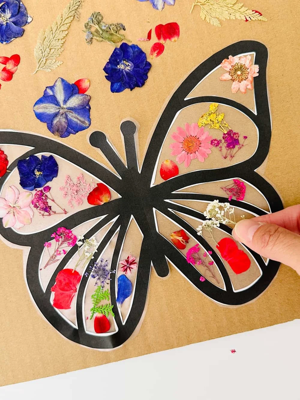 Pressed Flower Butterfly Craft