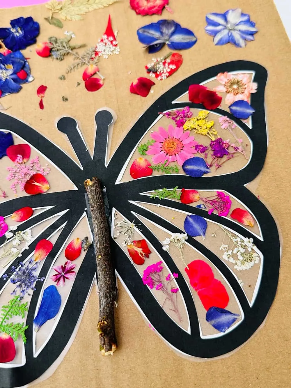 Pressed Flower Butterfly Craft