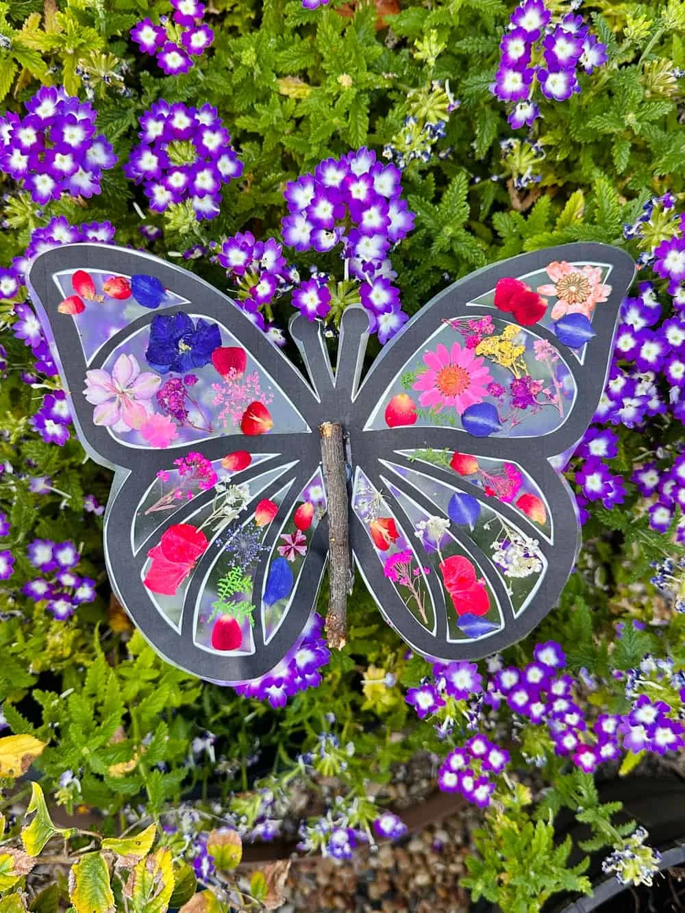 Pressed Flower Butterfly Craft