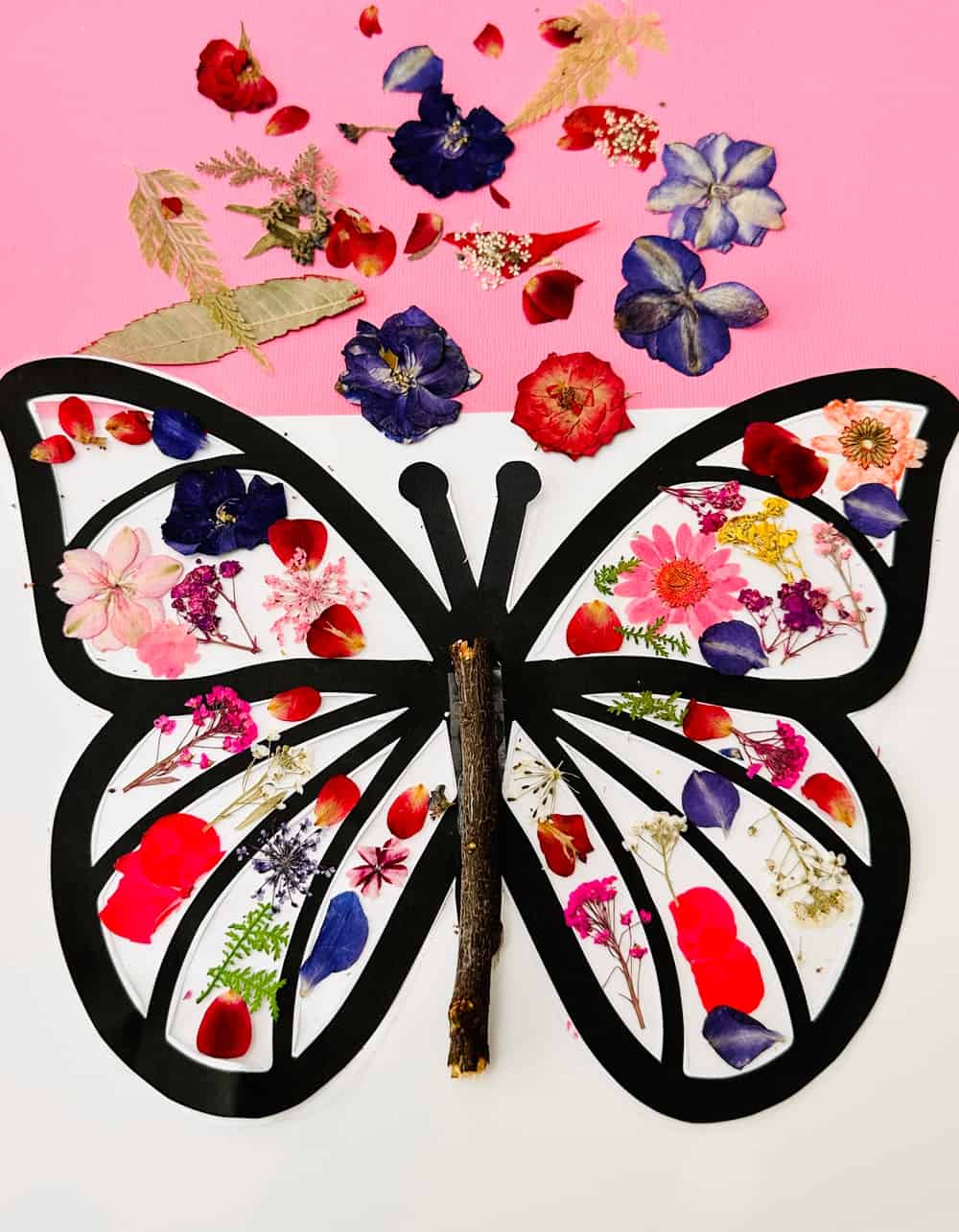 Pressed Flower Butterfly Craft