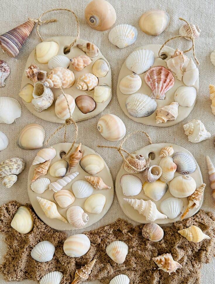 Clay seashell craft