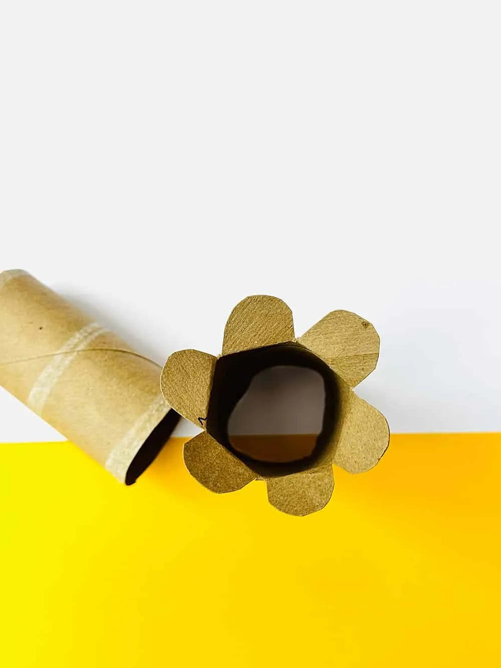 Paper roll Flower Art