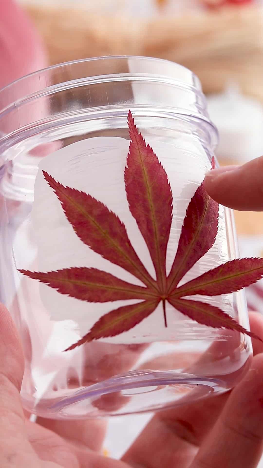 DIY Pressed Fall Leaf Jars