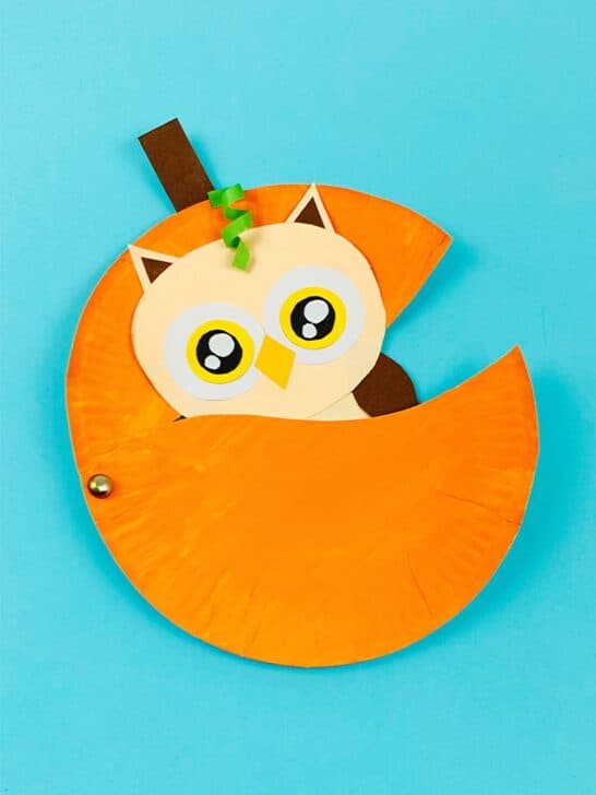 Paper Plate Pumpkin Owl Craft With Printable Template