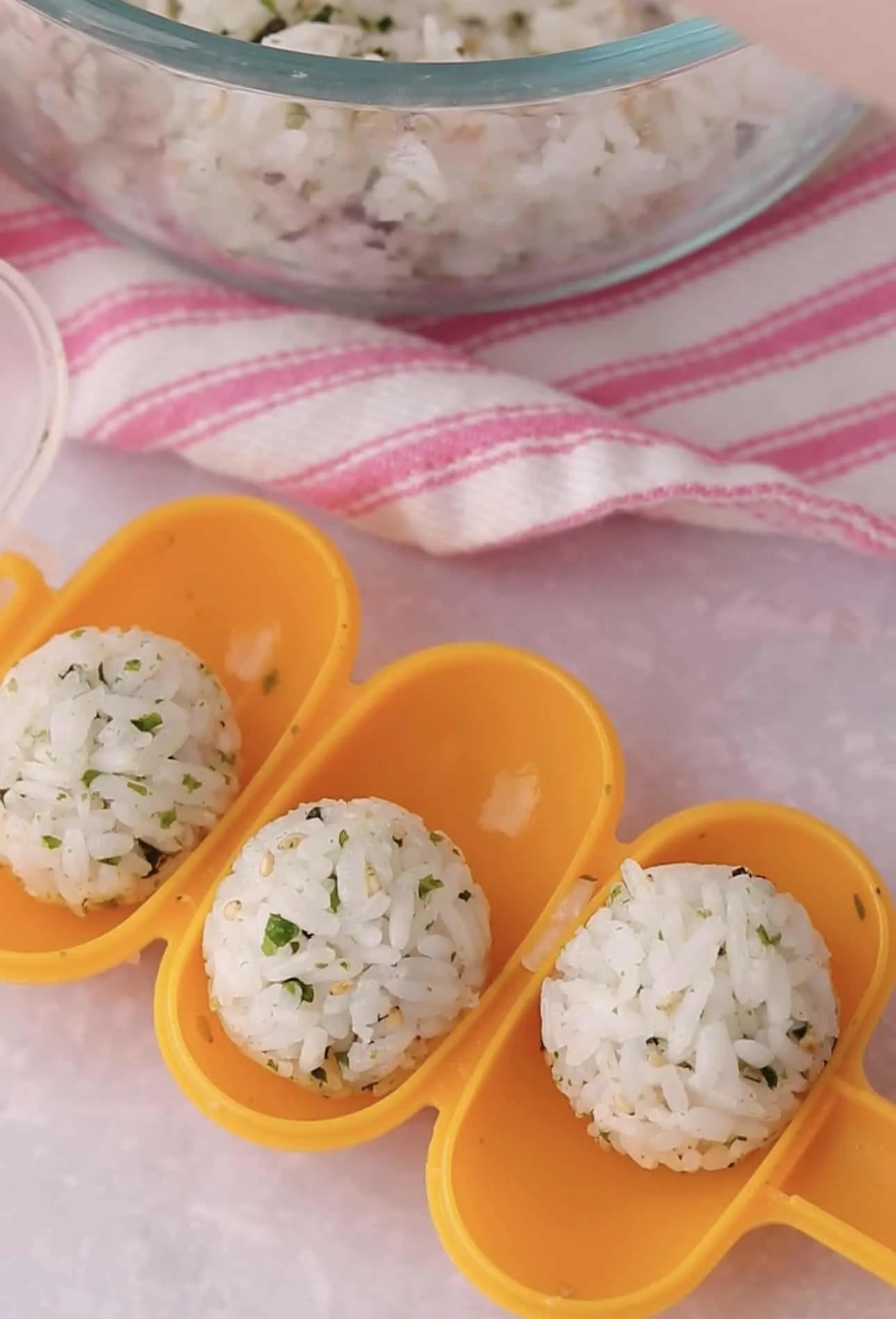 Rice Ball Shaker mold