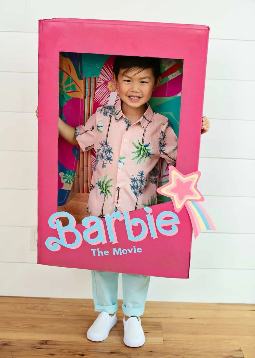 Barbie online costume box