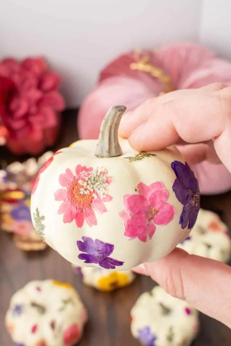 Pressed Flower Pumpkins Make Pretty No-Carve Pumpkin Decor