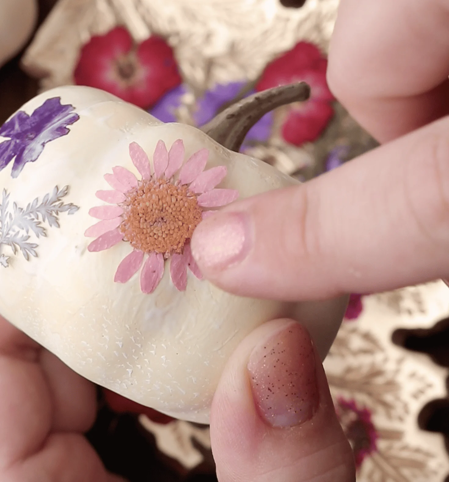 Pressed Flower Pumpkins