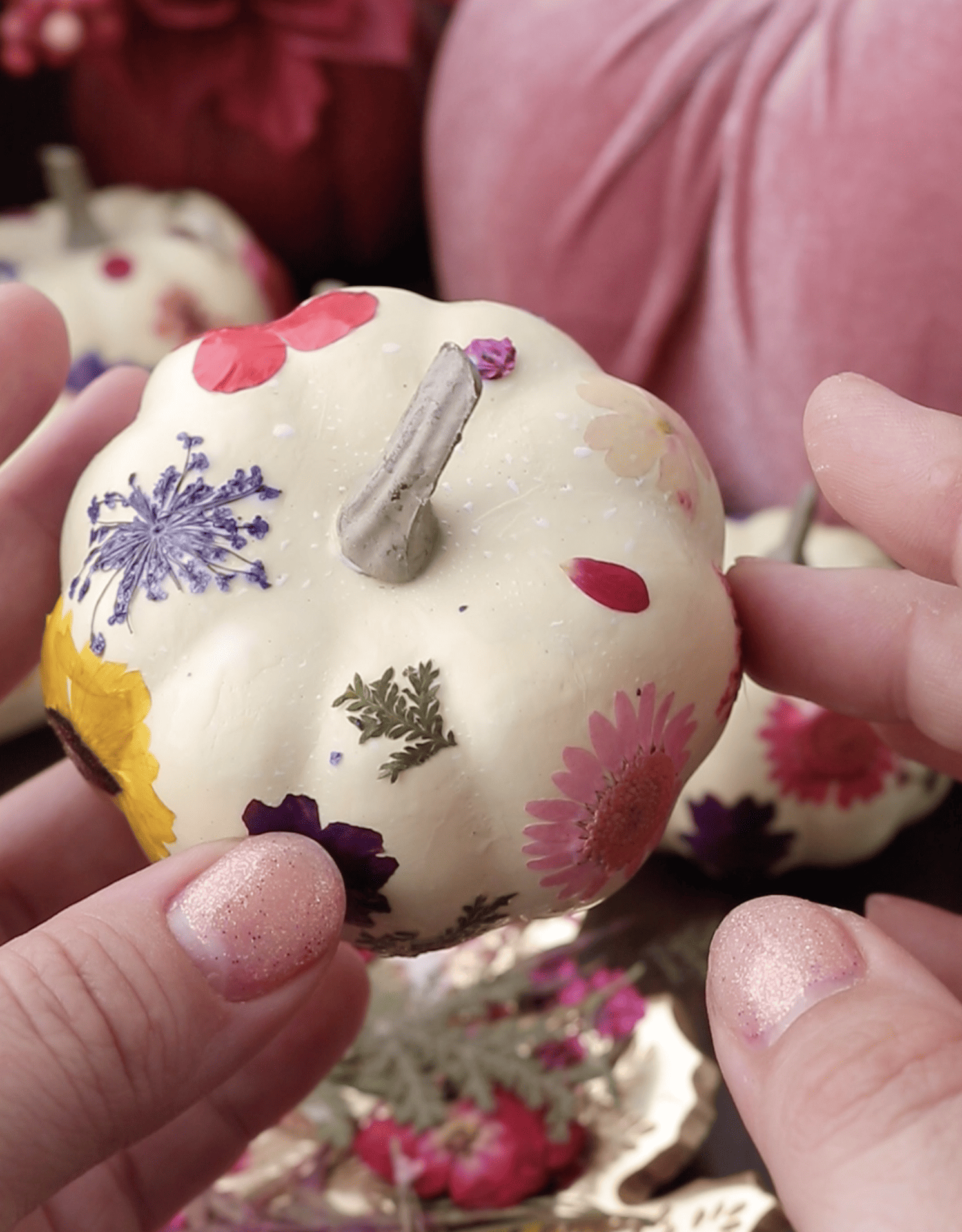 Pressed Flower Pumpkins