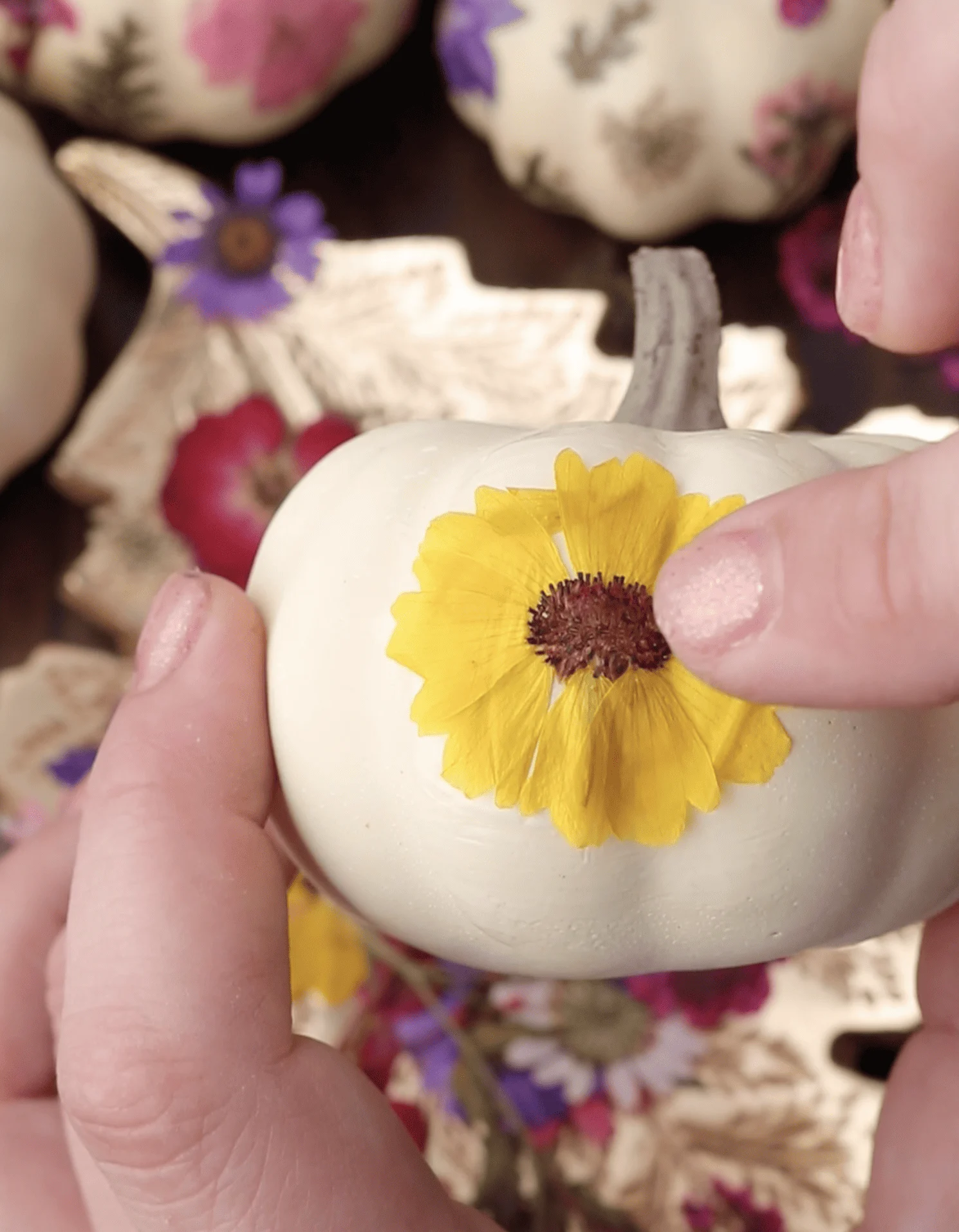 pressing dried flowers onto pumpkins