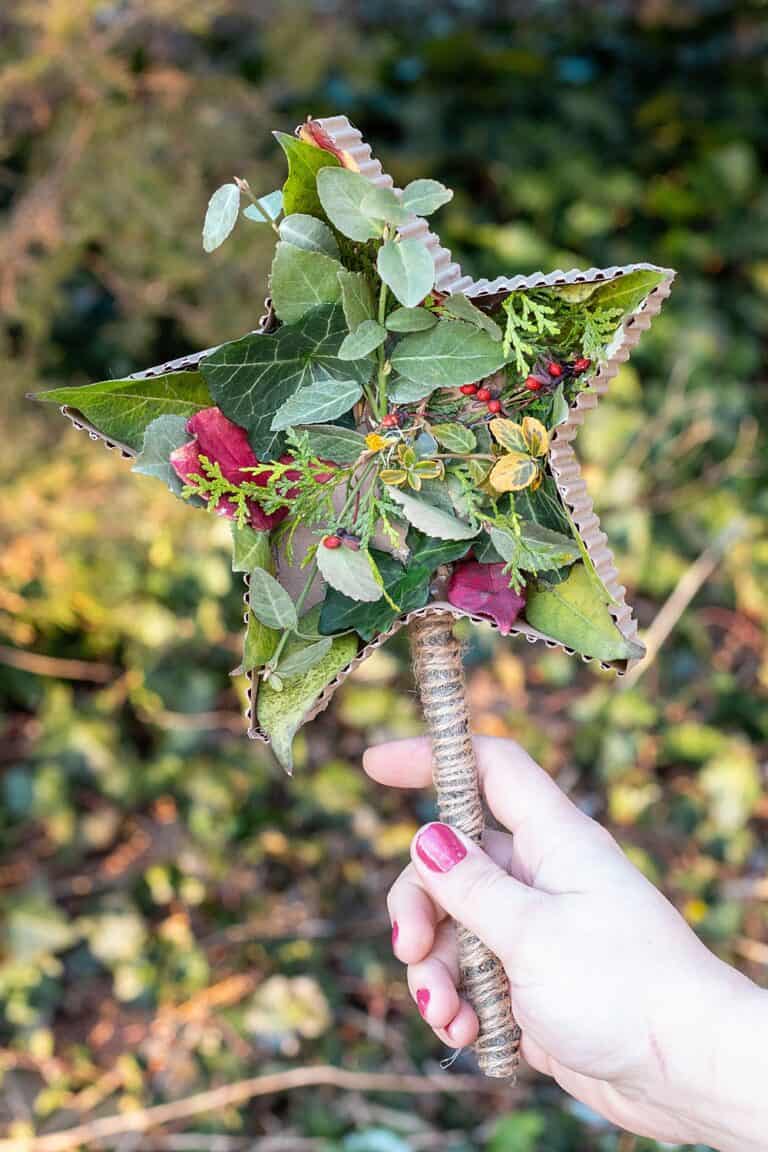 Beautiful Nature Star Wand Craft