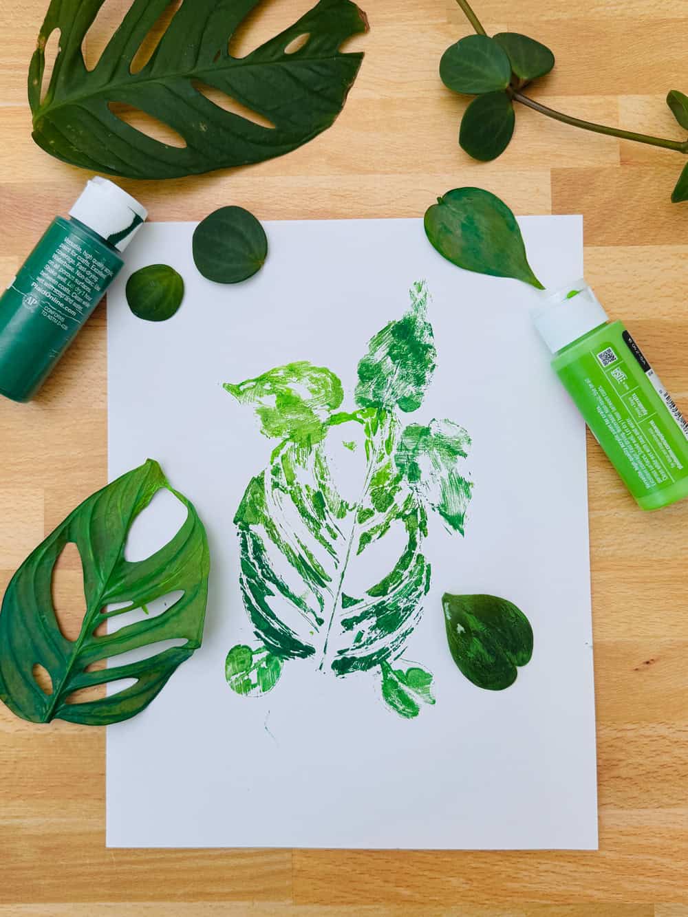 Painted Leaf Turtle