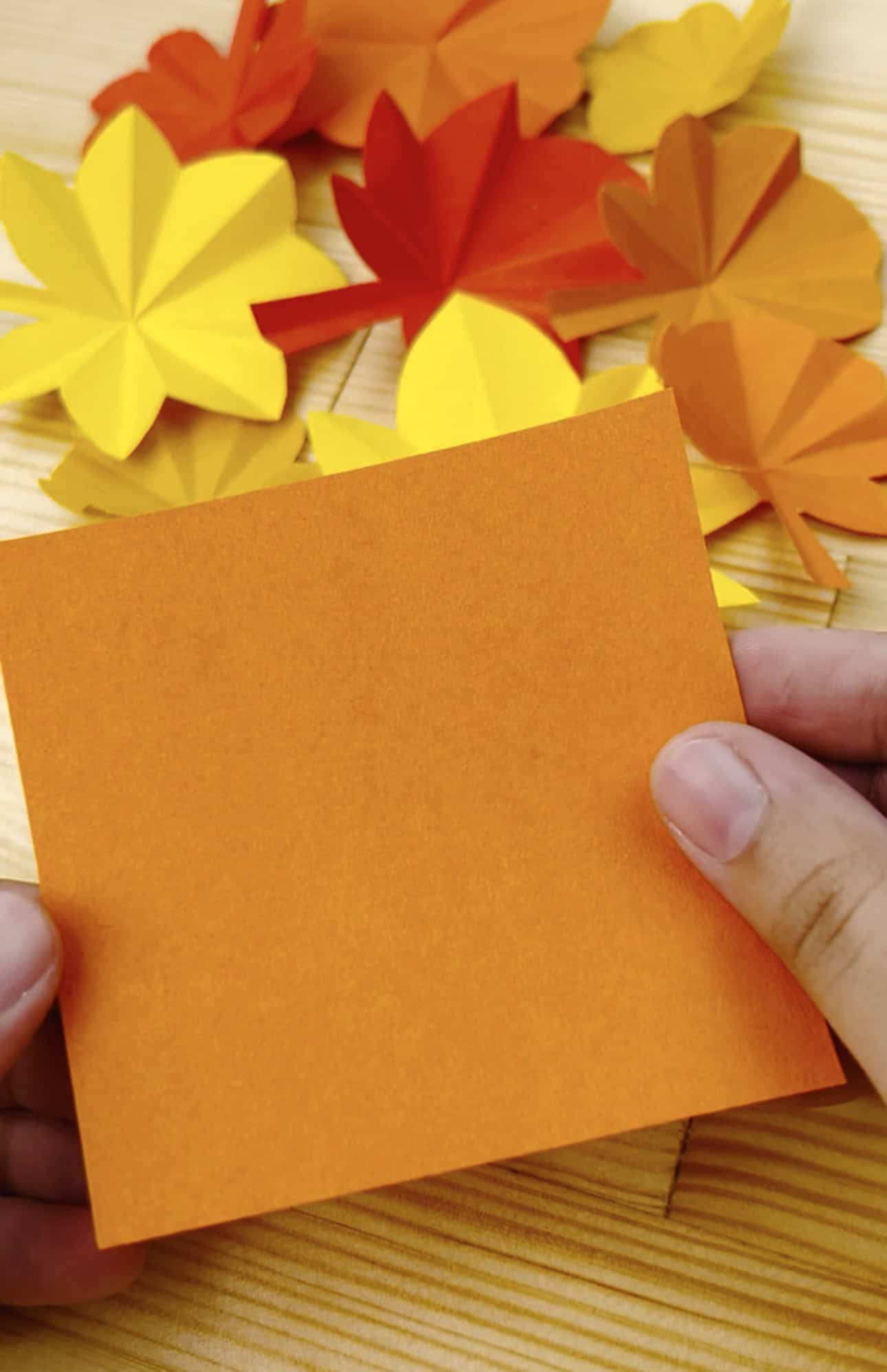 fall paper leaves