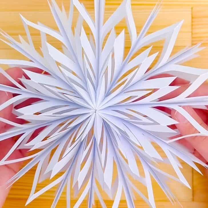 ZipString: Our Honest Review Of This Fascinating Viral Toy